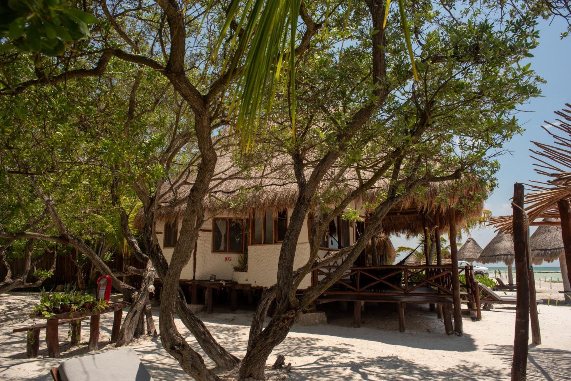 Casa Takywara Hotel Holbox Eksteriør billede